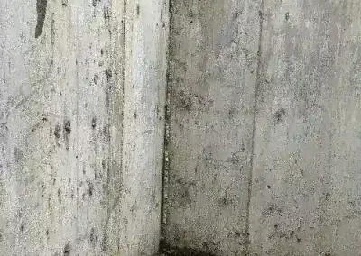 Superb concrete contractor